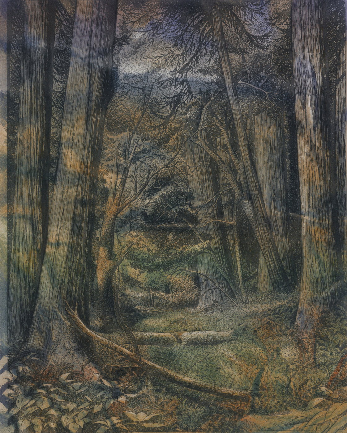 The Weaver's Thicket